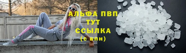 стафф Касимов