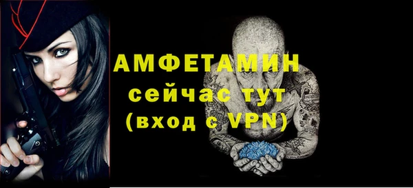 хмурый Каменка