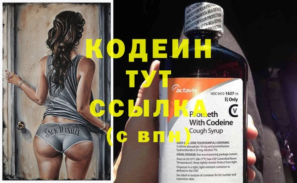 хмурый Каменка