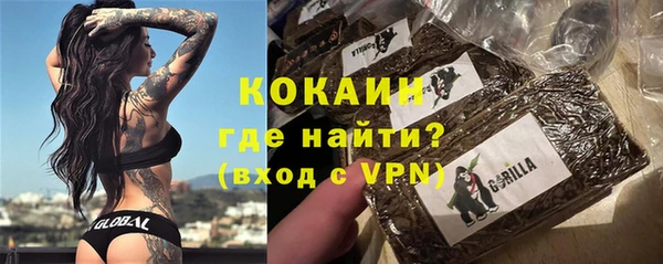 хмурый Каменка