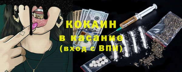 хмурый Каменка