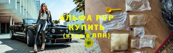 хмурый Каменка