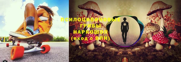 хмурый Каменка