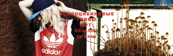 хмурый Каменка