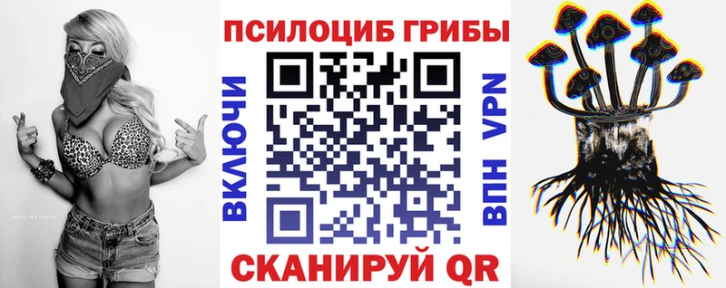 Галлюциногенные грибы ЛСД Купить где Жирновск
